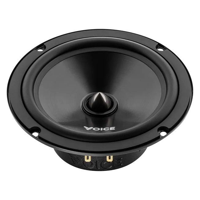 voice-e62c_1