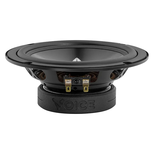 voice-e62c_2