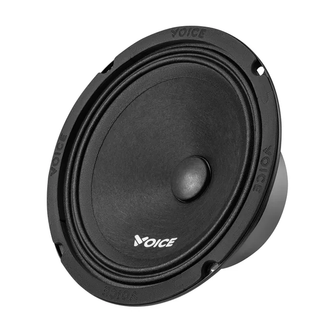 voice-st-165_1