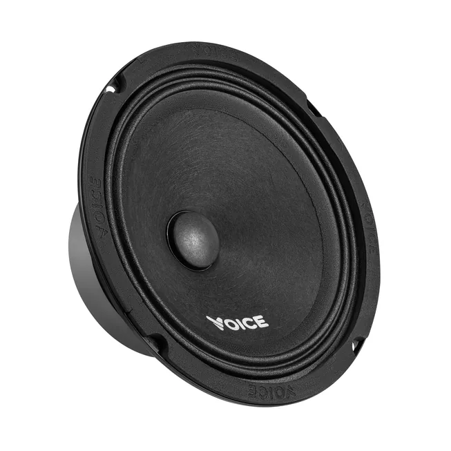 voice-st-165_2