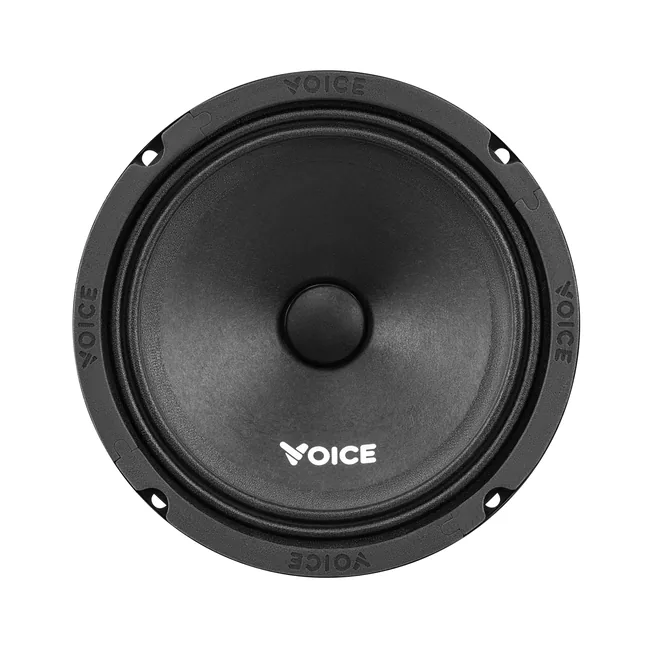 voice-st-165_3