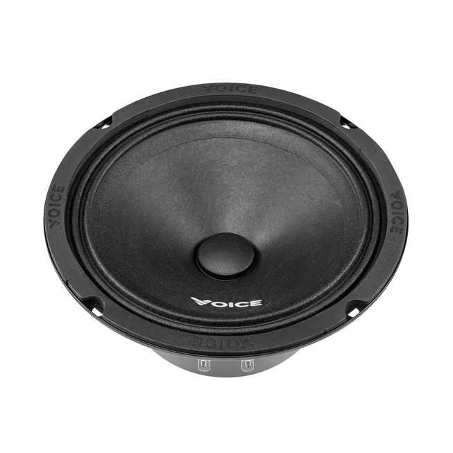 voice-st-165_4