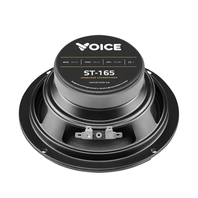 voice-st-165_5