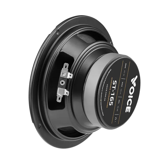 voice-st-165_7